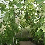 Fasanenhof Sommer Locktow 게스트하우스