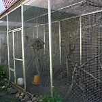 Fasanenhof Sommer Locktow Locktow