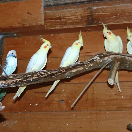 Gaestezimmer Sommer 3* Locktow