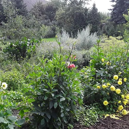 Gaestezimmer Sommer Locktow