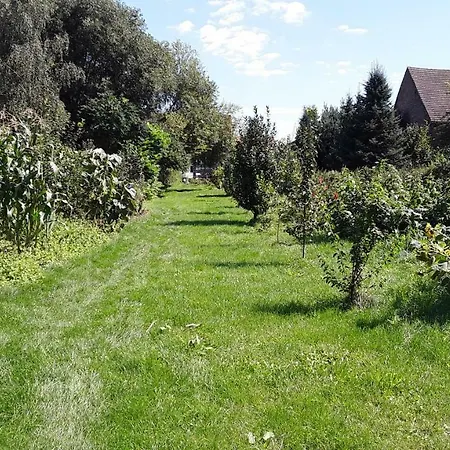 Gaestezimmer Sommer 게스트하우스 Locktow