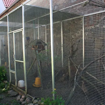 Gaestezimmer Sommer Locktow