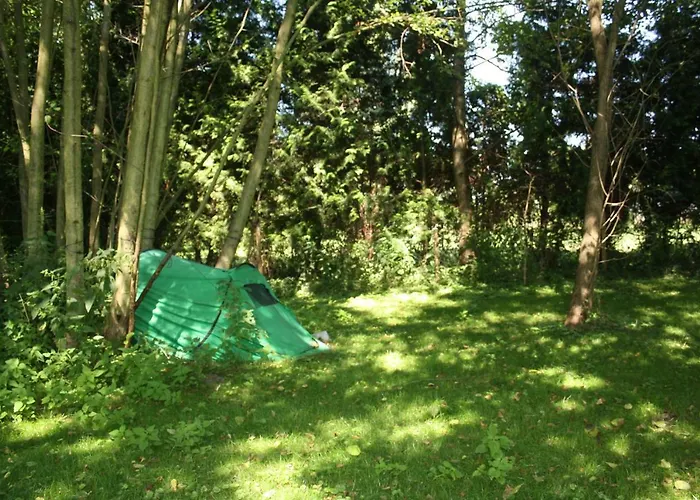 Guest house Gaestezimmer Sommer 3*